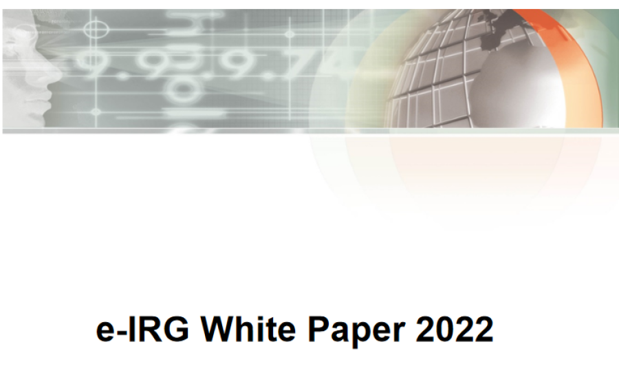 Stire 2 februarie 2023 EIRG white paper 2022